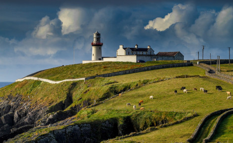 Irlandaustausch Header